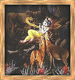 Die Höchste Person Gottes, Shri Krishna